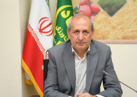 جای هیچ گونه نگرای نیست/گندم و آرد مورد نیاز استان به‌طور کامل فراهم است