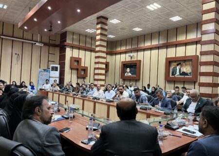 برگزاری جلسه تخصصی رؤسای سبک‌های رزمی با حضور مسئولان وزارت ورزش و جوانان