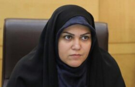توانمندسازی و پایداری؛ نقشه راه فراکسیون زنان در اجلاسیه دوم/ بازنگری در سیاست‌های مهریه با رویکرد حمایت از خانواده