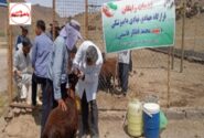 برگزاری اردوی تخصصی یک‌روزه با همکاری قرارگاه جهادی نهادی دامپزشکی در شهرستان عجب‌شیر