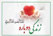 اهدای عضو بیمار مرگ‌مغزی در تبریز جان سه نفر را نجات داد