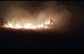 مهار آتش سوزی در منطقه حفاظت شده سهند توسط محیط بانان