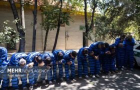 دستگیری ۱۷ مجرم در طرح ارتقای امنیت اجتماعی تبریز