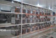 ۶۹ ماینر برق خوار در تبریز خاموش شد؛معادل مصرف ۶۲۱ خانه