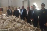 تسریع در تکمیل مرکز تحقیقات و موزه دیرینه‌شناسی مراغه؛ گامی برای ارتقای جایگاه علمی و گردشگری کشور