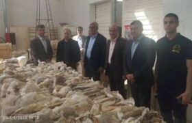 تسریع در تکمیل مرکز تحقیقات و موزه دیرینه‌شناسی مراغه؛ گامی برای ارتقای جایگاه علمی و گردشگری کشور