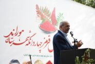 آذربایجان‌شرقی چهارمین تولیدکننده سماق در کشور