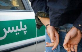 زمین گیر شدن سارق خودرو و کشف خودرو سرقتی در شهرستان میانه