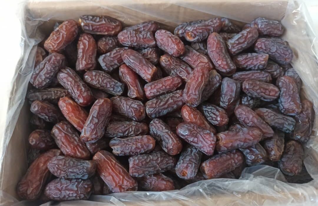 آذربایجان شرقی بدون حتی یک نخل، در جایگاه برتر فرآوری و بسته‌بندی خرما در کشور