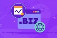 دامنه.biz چیست و برای چه کسب و کار‌هایی مناسب است؟