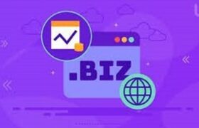 دامنه.biz چیست و برای چه کسب و کار‌هایی مناسب است؟