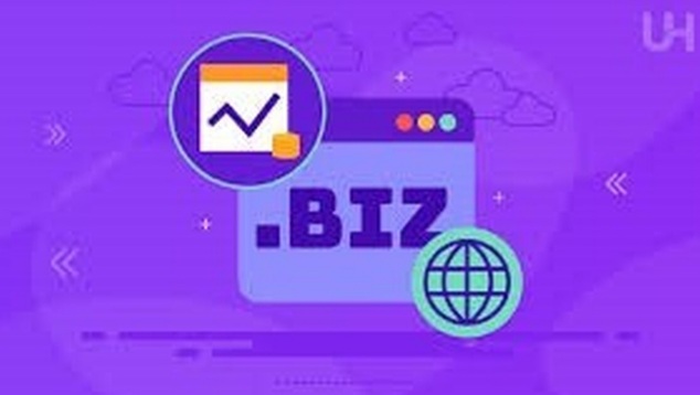 دامنه.biz چیست و برای چه کسب و کار‌هایی مناسب است؟