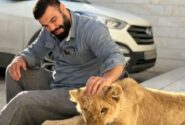 واکنش علی اکبری به تلف شدن شیرش در باغ وحش