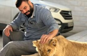 واکنش علی اکبری به تلف شدن شیرش در باغ وحش