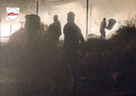 نجات ۲۰۰ راس گوسفند گرفتار از شعله های آتش توسط آتش نشانان حامی حیوانات مرندی