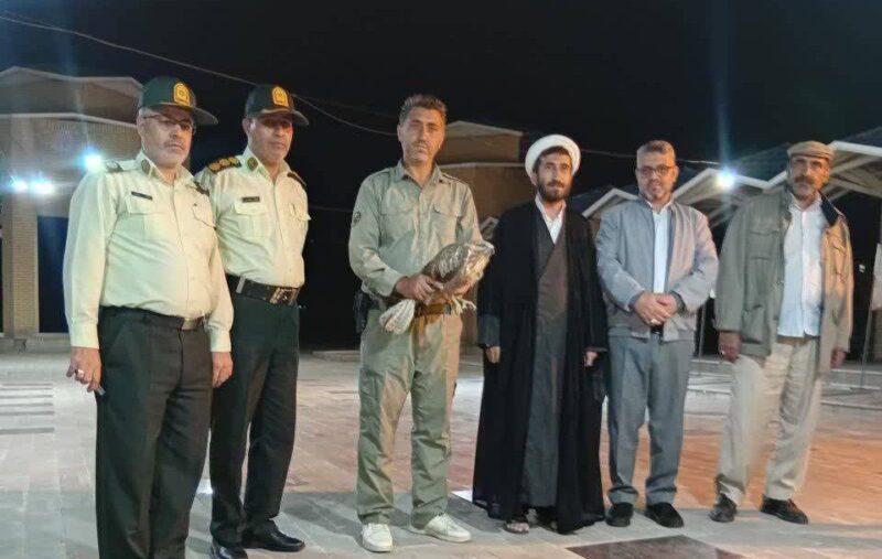 همکاری پلیس و محیط زیست برای نجات یک پرنده شکاری