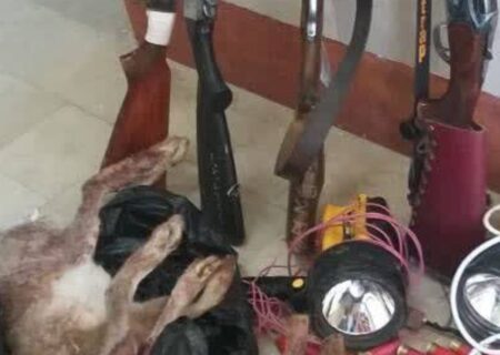 همکاری به‌موقع محیط‌بانان و نیروی انتظامی؛ شکارچیان غیرمجاز به دام افتادند