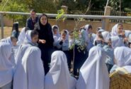 کاشت نهال به یاد «کودکان شهید» توسط مدرسه یاقوت در مرکز شماره ۳ کانون تبریز