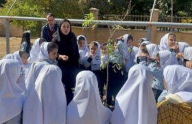 کاشت نهال به یاد «کودکان شهید» توسط مدرسه یاقوت در مرکز شماره ۳ کانون تبریز