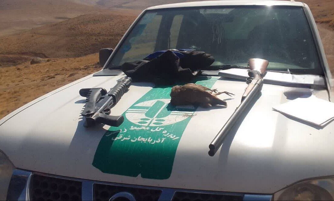 دستگیری سه شکارچی غیرمجاز خرگوش در اراضی اسماعیل‌آباد سراب / ضبط سلاح و ۸ لاشه