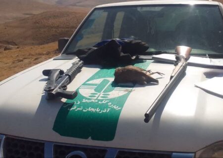 دستگیری سه شکارچی غیرمجاز خرگوش در اراضی اسماعیل‌آباد سراب / ضبط سلاح و ۸ لاشه