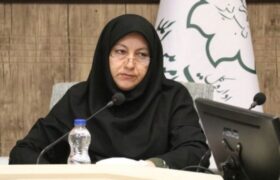 حبیبه هراتی استعفا داد