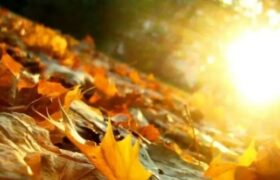 برف در ایران نایاب شد