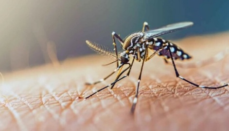 شیوع هشداردهنده یک بیماری خطرناک در این استان