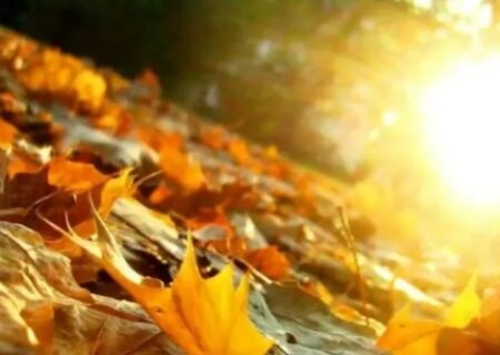 برف در ایران نایاب شد