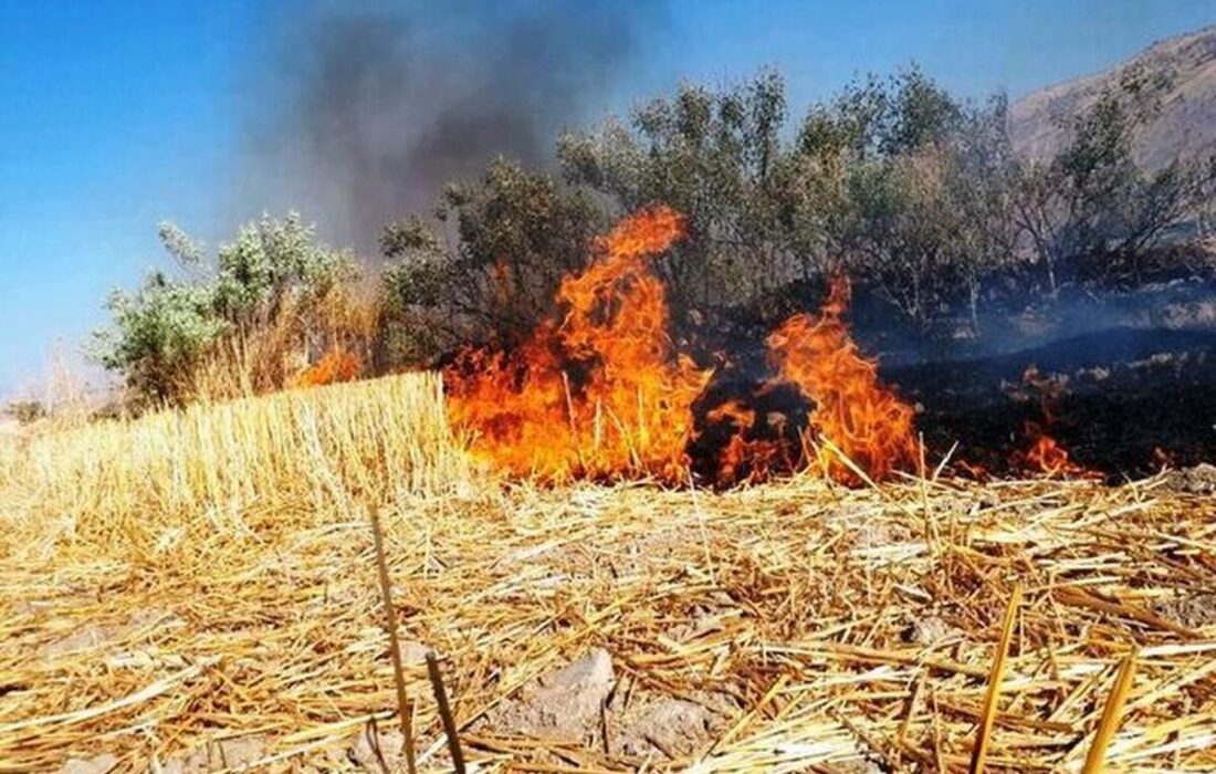 آلودگی شدید هوا در بابل / ماجرا چیست؟