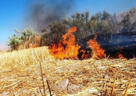 آلودگی شدید هوا در بابل / ماجرا چیست؟