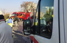 فوت کارگر جوان در حین هرس درختان در تبریز