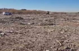 طرح گسترده انبوهکاری در محدوده “ناحیه گیاهشناسی” تبریز آغاز شد