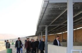 میدان دام جدید تبریز در آستانه بهره‌برداری/گام موثر شهرداری در ساماندهی چوبداران و بهبود مدیریت مشاغل شهری