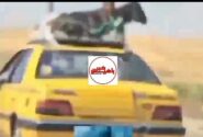 توقیف تاکسی متخلف حمل گوسفند در بناب