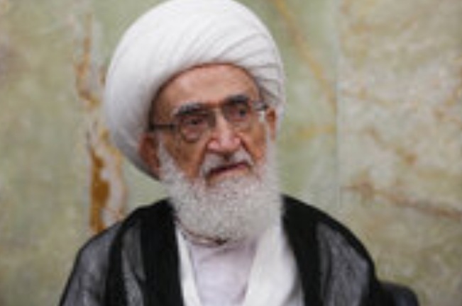 آیت‌الله نوری همدانی:حفظ محیط زیست یک تکلیف شرعی و ضرورت امنیت ملی است