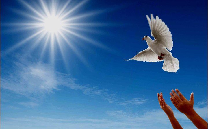 هدیه عاشورا به یک سالخورده؛ پرداخت دیه ۱۲۰ میلیون تومانی و آزادی زندانی در بناب
