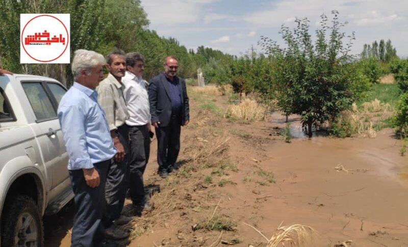 استراتژی مدیریت بحران در جهاد کشاورزی مرند: از پایش خسارات تا ارتقای تاب‌آوری