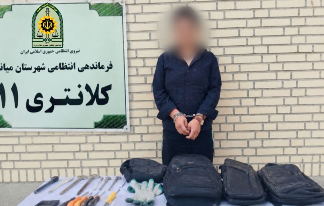 دزد محتویات خودرو با ۵ فقره سرقت در میانه بازداشت شد
