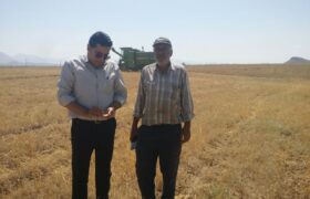 نظارت میدانی بر «امنیت معیشت»؛ گام عملیاتی جهاد کشاورزی مرند برای صیانت از دسترنج گندم‌کاران هرزندات