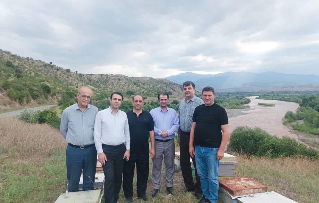 پایش میدانی زنبورستان‌های آذربایجان شرقی؛ حرکت دامپزشکی استان در راستای ارتقای بهره‌وری صنعت عسل