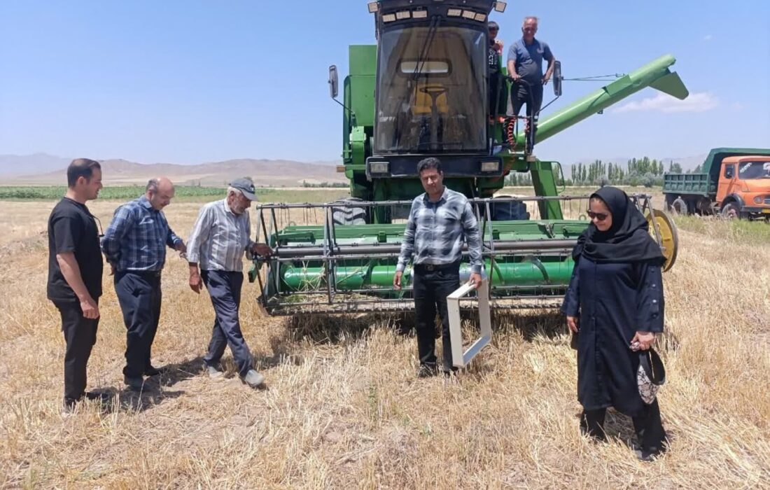 از پایش برداشت تا کنترل ضایعات؛ گام عملی جهاد کشاورزی برای صیانت از غلات مرند