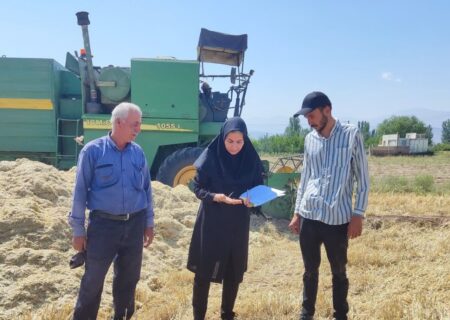 بازرسی میدانی از برداشت غلات در یامچی؛ تاکید جهاد کشاورزی بر نظارت دقیق بر عملکرد سلف‌خرا و صیانت از حقوق کشاورزان