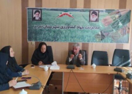 پایان دوران بی‌نام و نشانی محصولات خام؛ تحولی بزرگ در زنجیره ارزش کشاورزی استان