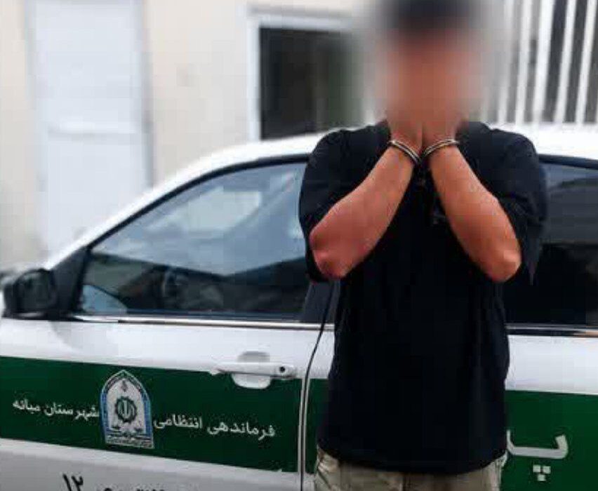 پایان قدرت‌نمایی با شمشیر؛ پلیس میانه نقشه نزاع خونین را در نطفه خنثی کرد