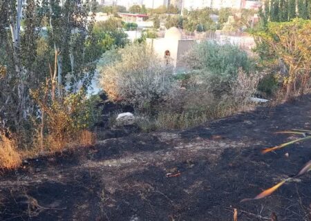 آتش‌سوزی در پارک کلانتر تبریز مهار شد؛ ۳۰ درخت طعمه بی‌احتیاطی شهروندان شدند
